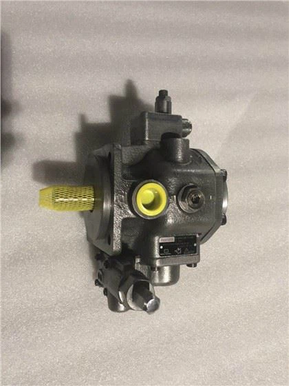 Bomba hidràulica Rexroth PV PV7 PV7-17/16-20RE01MC0-16 PV7-1A/63-71RE07MC0-16 Bomba de paletes per a excavadores PARTS DE LA BOMBA