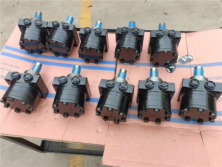 TK250 TK315 TK400 TK500 TK630 TK800 TK1000 Parker Motor TG TE TF TB TG TK TK1000T5640AAAB Orbital Motor TK1000K5640AAAA Cycloidal Hydraulic Motor For Drilling Rig